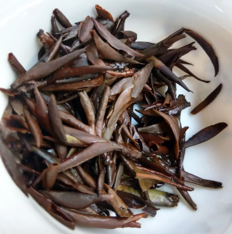 Bạch Trà